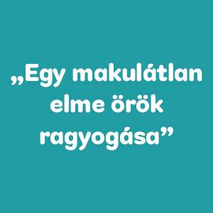 Milyen fajta kutya vagy?