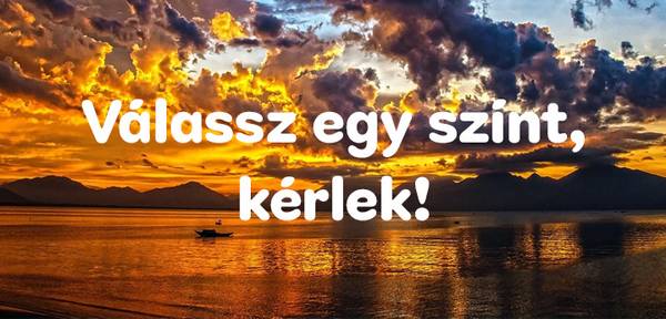 Milyen fajta kutya vagy?