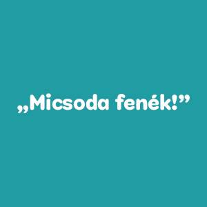 Milyen fajta kutya vagy?