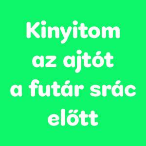 Milyen fajta kutya vagy?