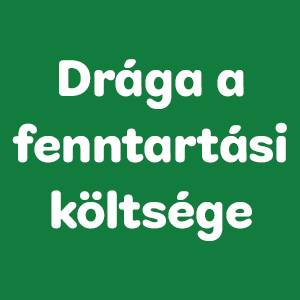 Milyen fajta kutya vagy?