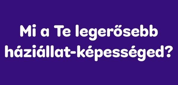 Milyen fajta kutya vagy?