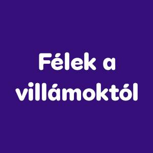 Milyen fajta kutya vagy?
